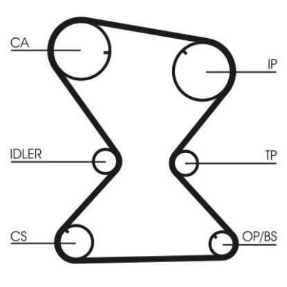 Timing Belt Mitsubishi