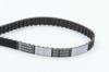 Timing Belt Fiat