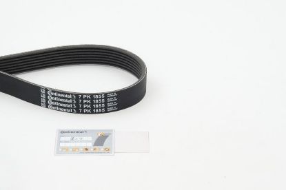 V-Ribbed Belt BMW - 11 28 7 557 858 V-Ribbed Belt BMW - 11 28 7 557 858