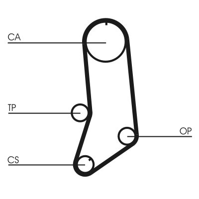 Timing Belt Fiat Timing Belt Fiat