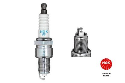 Spark Plug 3971 - Platina