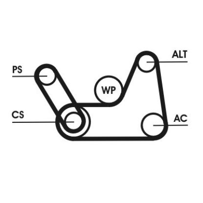 V-Ribbed Belt Set Ford, Mazda V-Ribbed Belt Set Ford, Mazda