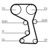 Timing Belt VOLVO