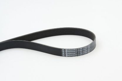V-Ribbed Belt BMW - 11 28 7 560 485 V-Ribbed Belt BMW - 11 28 7 560 485