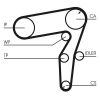 Timing Belt CT1106