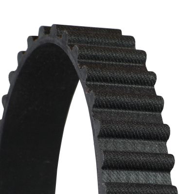 Timing Belt Harley-Davidson Timing Belt Harley-Davidson